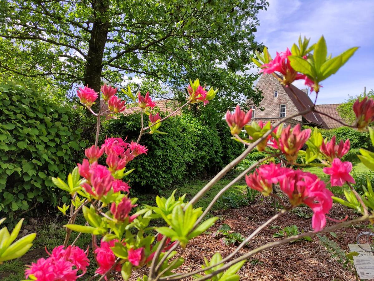 ホテル Manoir Du Kasteelveld カッセル エクステリア 写真