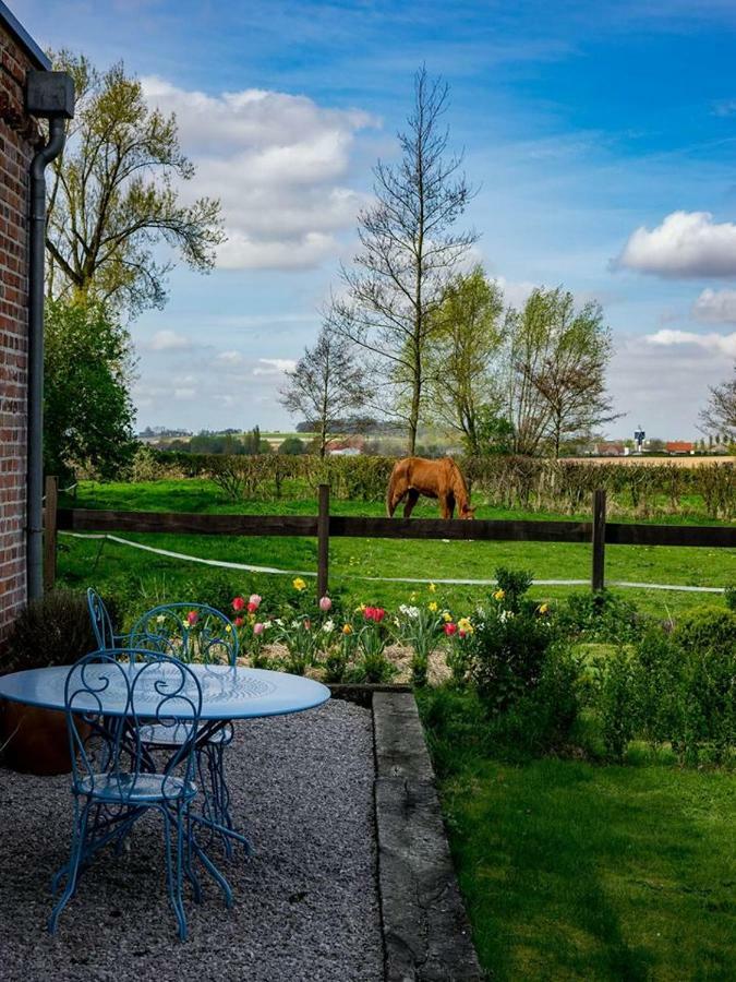 ホテル Manoir Du Kasteelveld カッセル エクステリア 写真